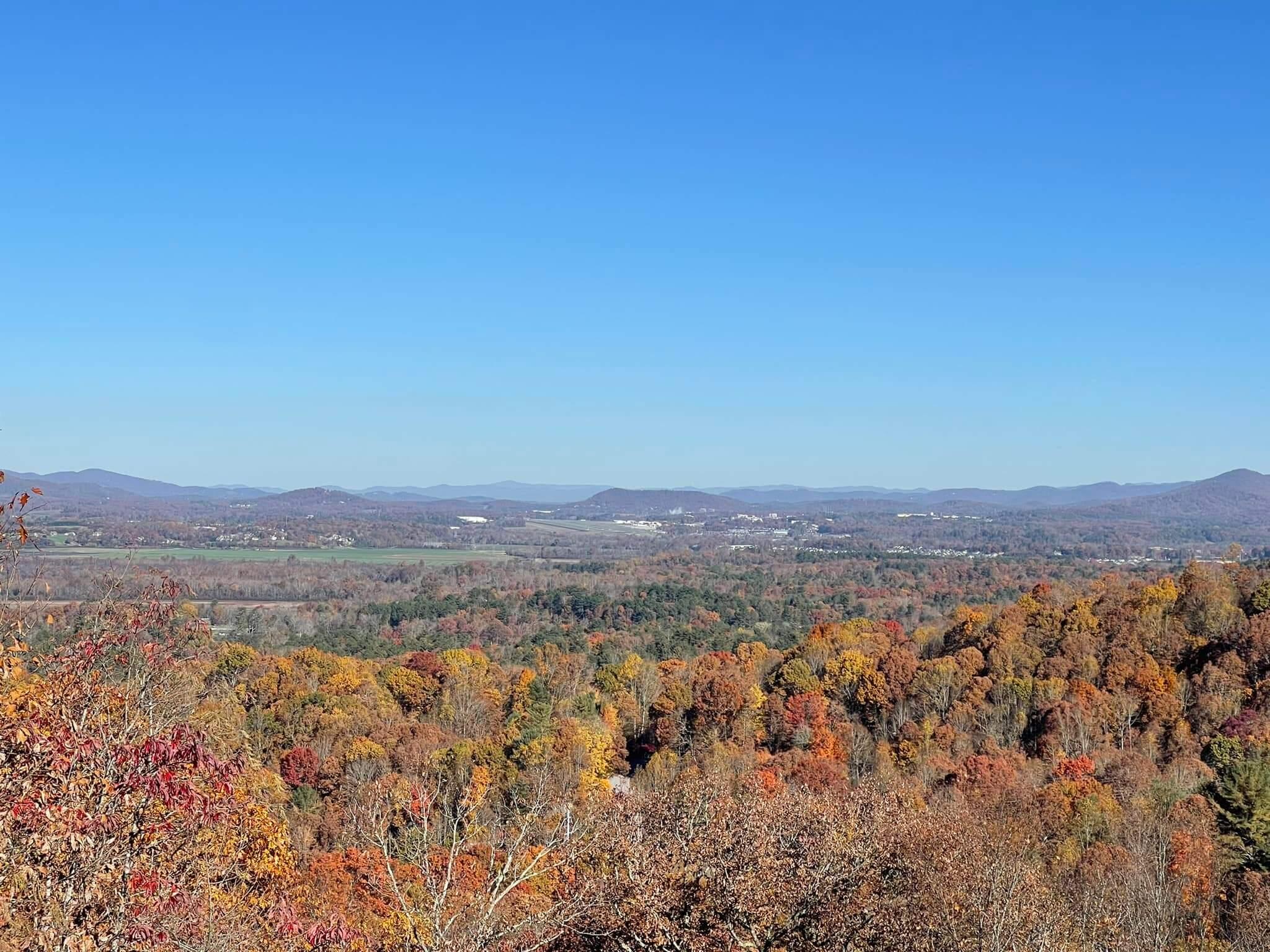 Septic System Repairs Asheville, NC: Expert Diagnosis and Lasting Fixes