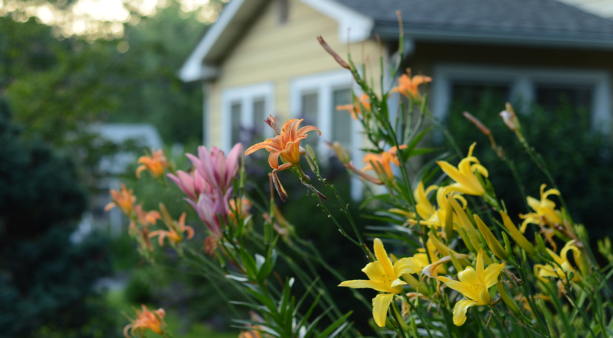 Summer Septic Maintenance: Protect Your System During Peak Usage Months