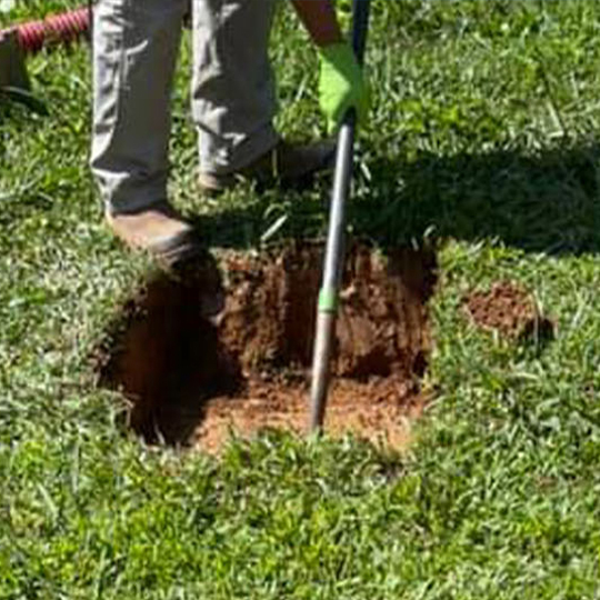 septic system inspection