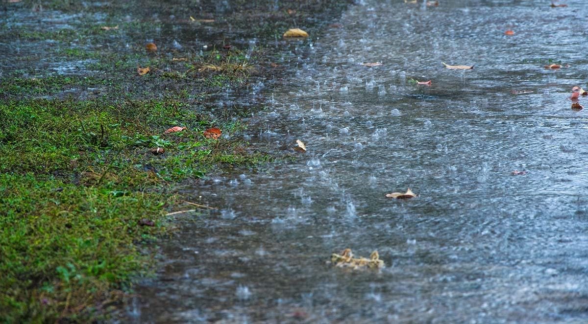 what_to_know_about_your_septic_system_after_heavy_rains_and_flooding image Storm Damage Septic Services Henderson County