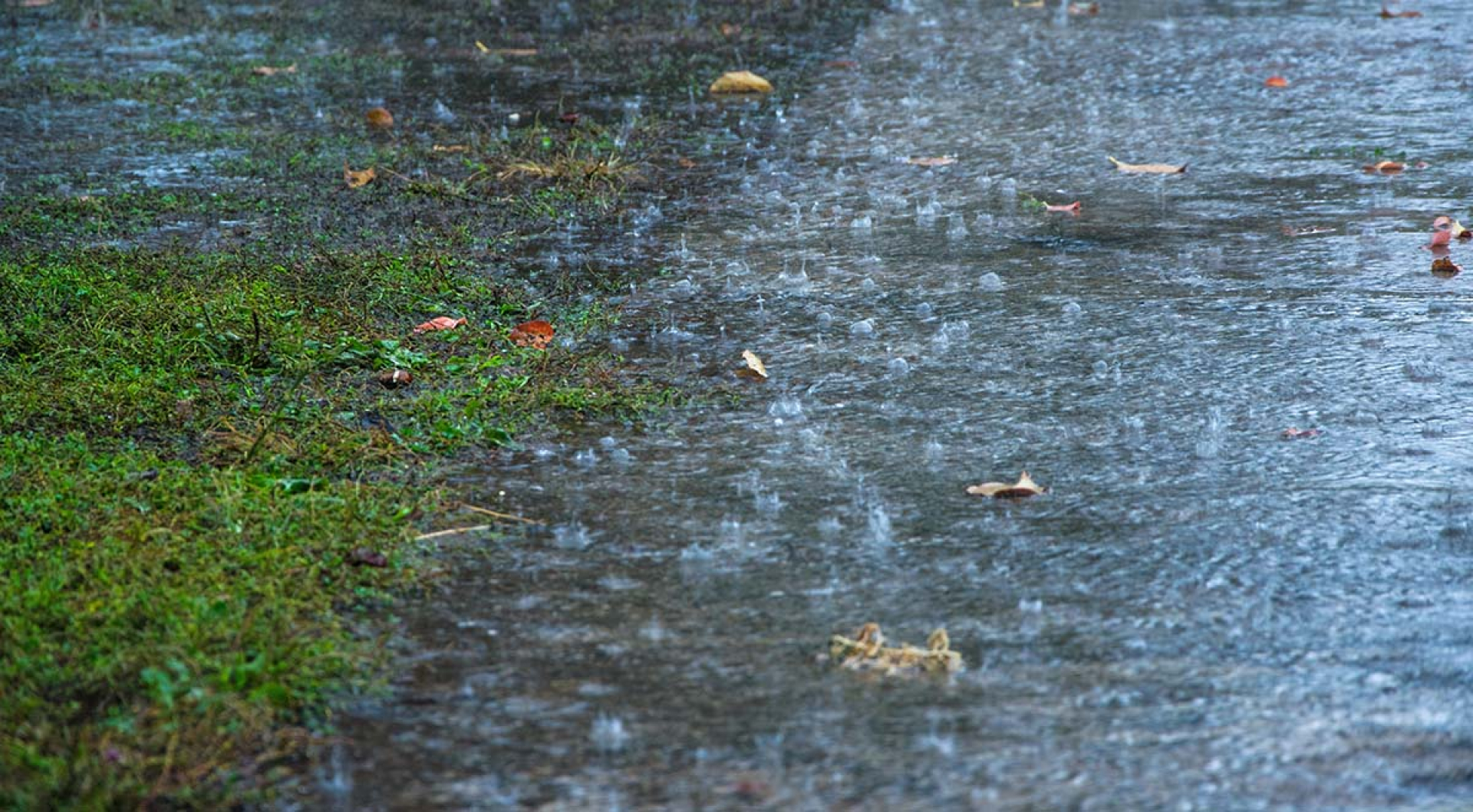 What To Know About Your Septic System After Heavy Rains and Flooding