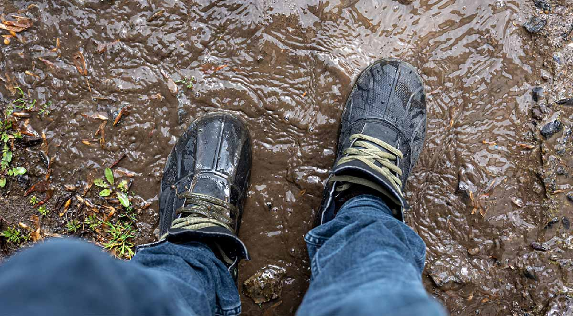 Why Is The Ground Soggy In My Septic Drainfield?